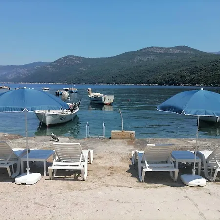 Mistral - Cosy With Sea View Apartment Molunat