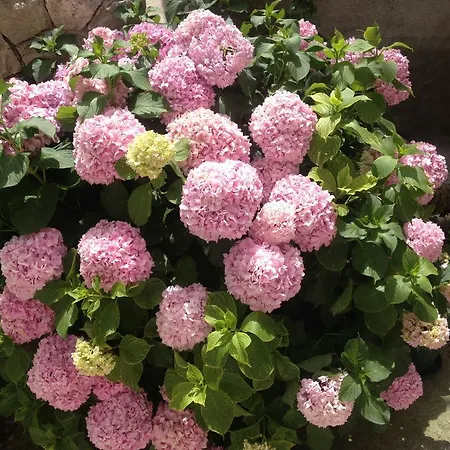 Mistral - Cosy With Sea View Апартаменты Молунат